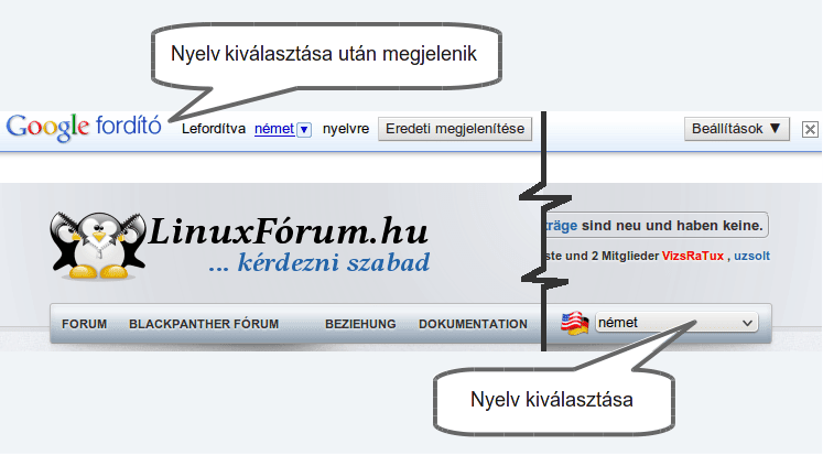 google_translate_info-120612.png