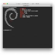 debian-ubutnu-screenfetch-outputs